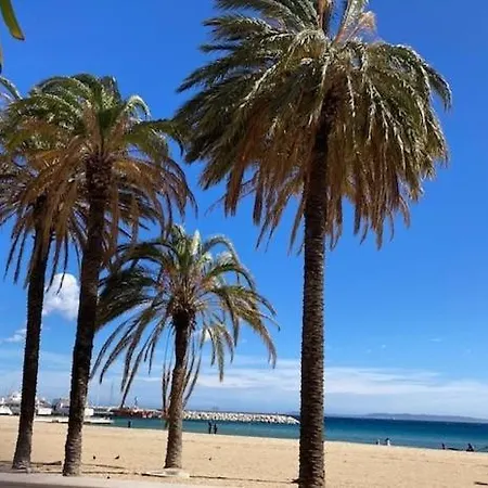 T2 Classe 3 Etoiles Avec Piscine Et Climatisation Les Mimosas Le Lavandou Apartman